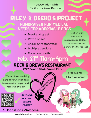 Riley & Deebo's Project - Fundraiser for medical needs for adoptable dogs