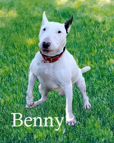 Benny